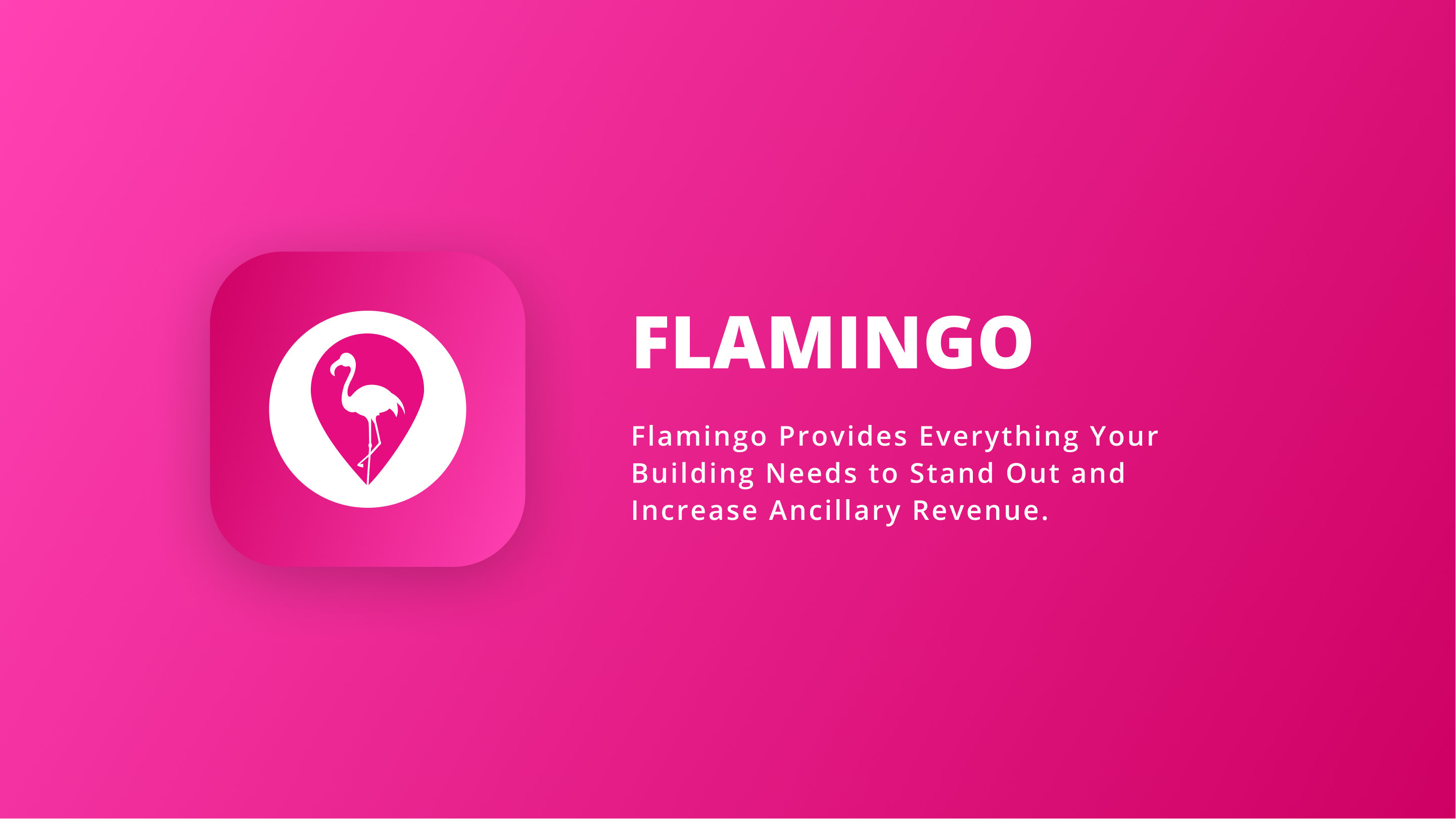 Flamingo